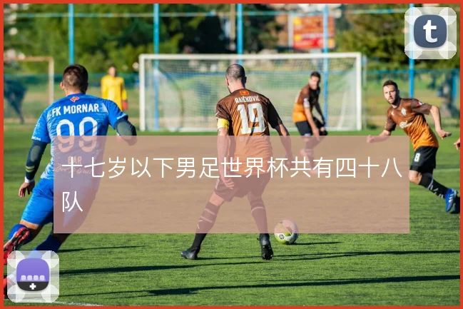 十七岁以下男足世界杯共有四十八队
