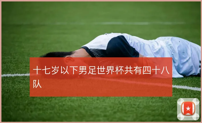 十七岁以下男足世界杯共有四十八队